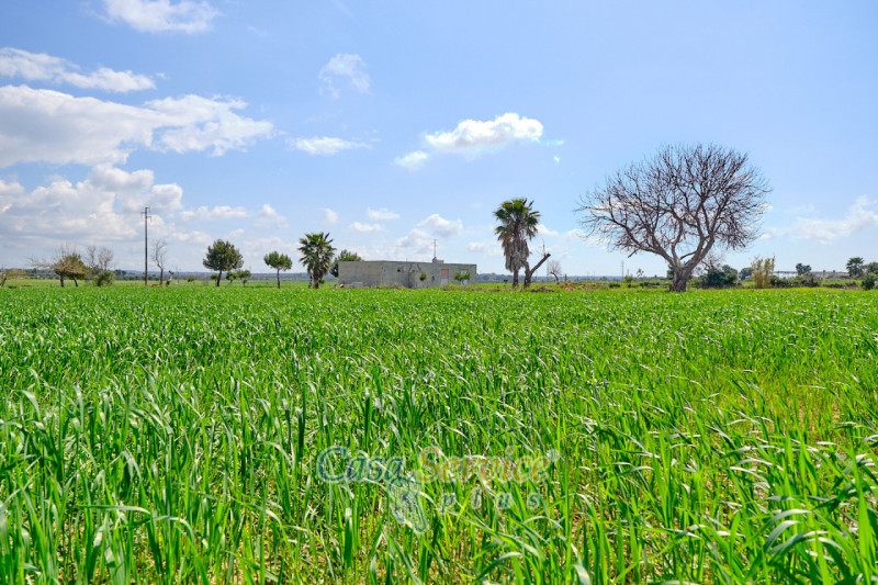 Immagine 23 di Terreno in vendita  in Via Felline a Racale