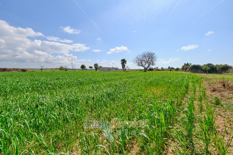 Immagine 24 di Terreno in vendita  in Via Felline a Racale
