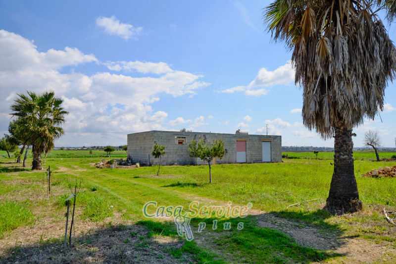 Immagine 25 di Terreno in vendita  in Via Felline a Racale