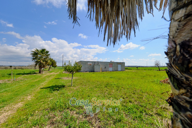 Immagine 26 di Terreno in vendita  in Via Felline a Racale