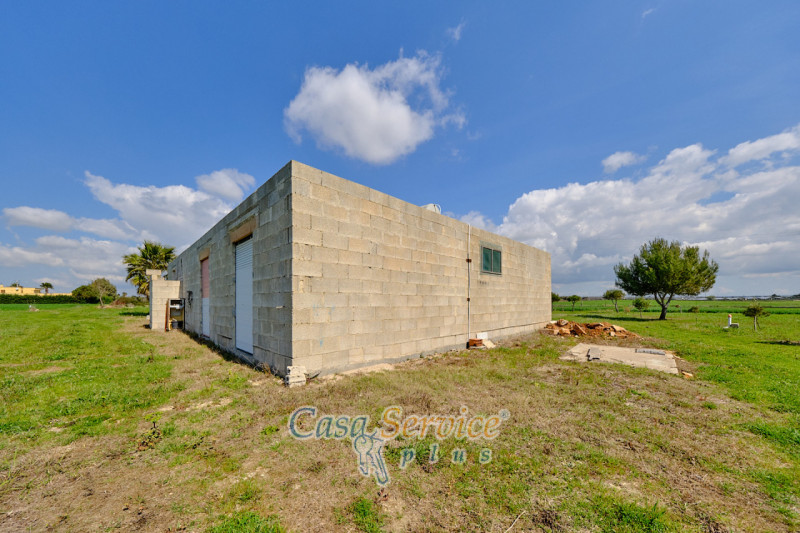 Immagine 34 di Terreno in vendita  in Via Felline a Racale