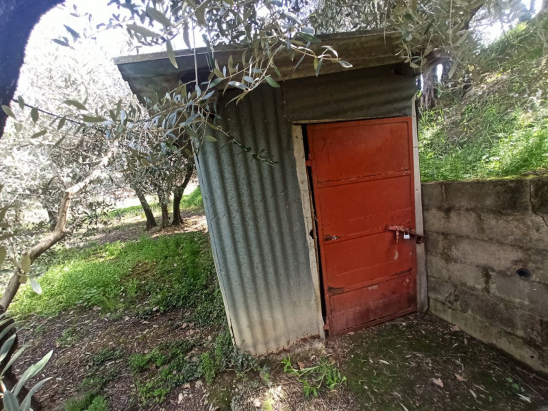 Immagine 8 di Terreno in vendita  a Castiglione Del Lago