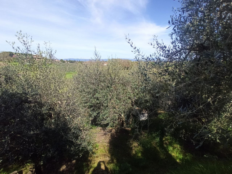 Immagine 12 di Terreno in vendita  a Castiglione Del Lago