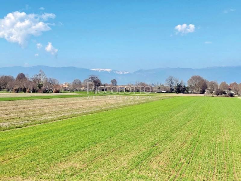 Immagine 18 di Villa in vendita  in via Nosellare a Rossano Veneto