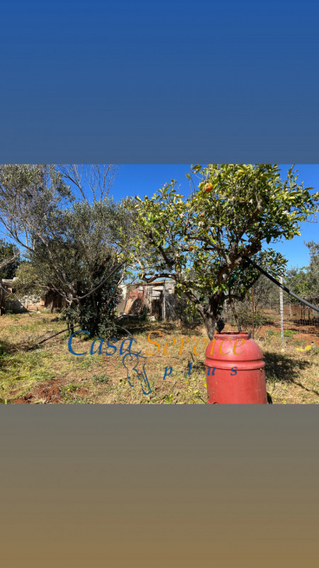 Immagine 4 di Terreno in vendita  in STRADA PROVINCIALE GALLIPOLI-CHIESANUOVA a Gallipoli