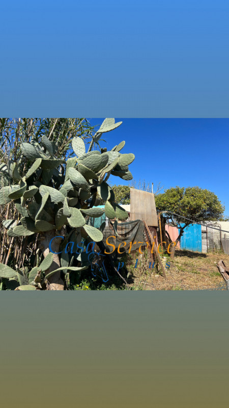 Immagine 5 di Terreno in vendita  in STRADA PROVINCIALE GALLIPOLI-CHIESANUOVA a Gallipoli