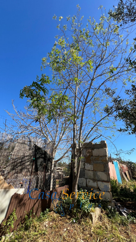 Immagine 6 di Terreno in vendita  in STRADA PROVINCIALE GALLIPOLI-CHIESANUOVA a Gallipoli