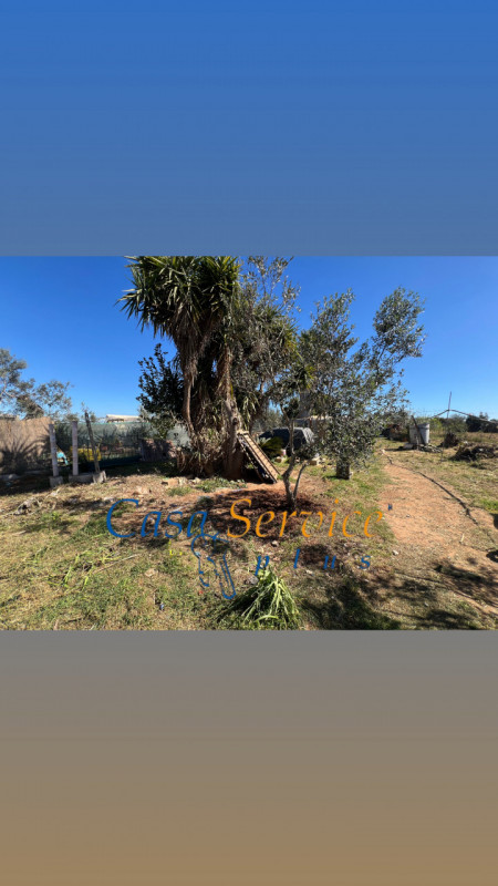 Immagine 8 di Terreno in vendita  in STRADA PROVINCIALE GALLIPOLI-CHIESANUOVA a Gallipoli