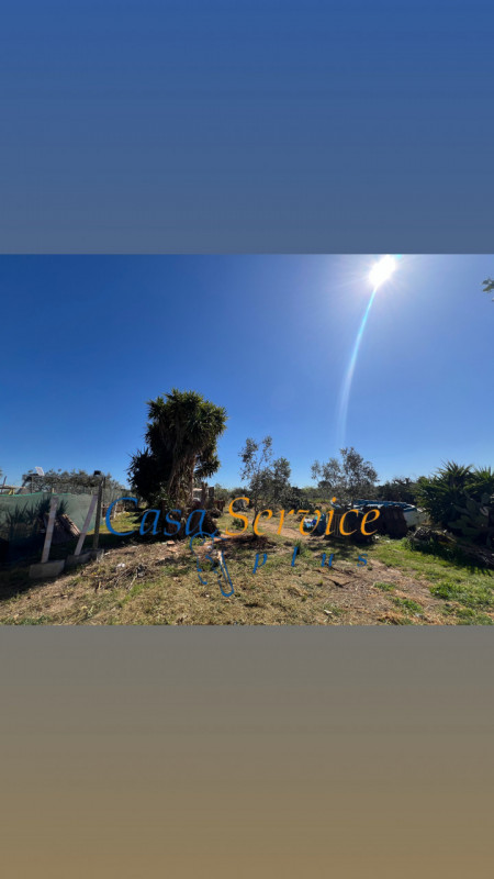 Immagine 9 di Terreno in vendita  in STRADA PROVINCIALE GALLIPOLI-CHIESANUOVA a Gallipoli