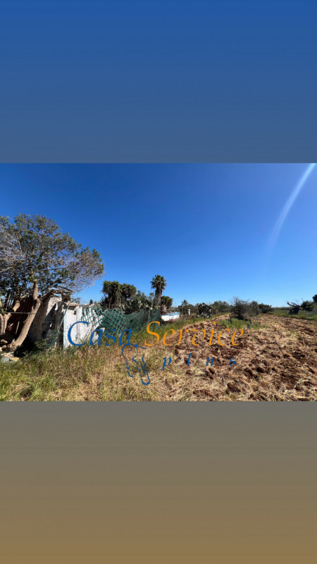 Immagine 10 di Terreno in vendita  in STRADA PROVINCIALE GALLIPOLI-CHIESANUOVA a Gallipoli