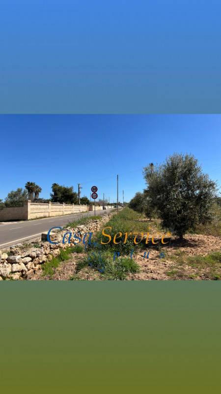 Immagine 13 di Terreno in vendita  in STRADA PROVINCIALE GALLIPOLI-CHIESANUOVA a Gallipoli