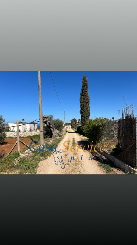 Immagine 14 di Terreno in vendita  in STRADA PROVINCIALE GALLIPOLI-CHIESANUOVA a Gallipoli