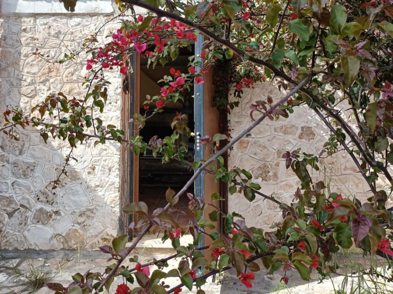 Immagine 4 di Posto auto in vendita  in Riviera Giacomo Matteotti, N. 281 a Badia Polesine