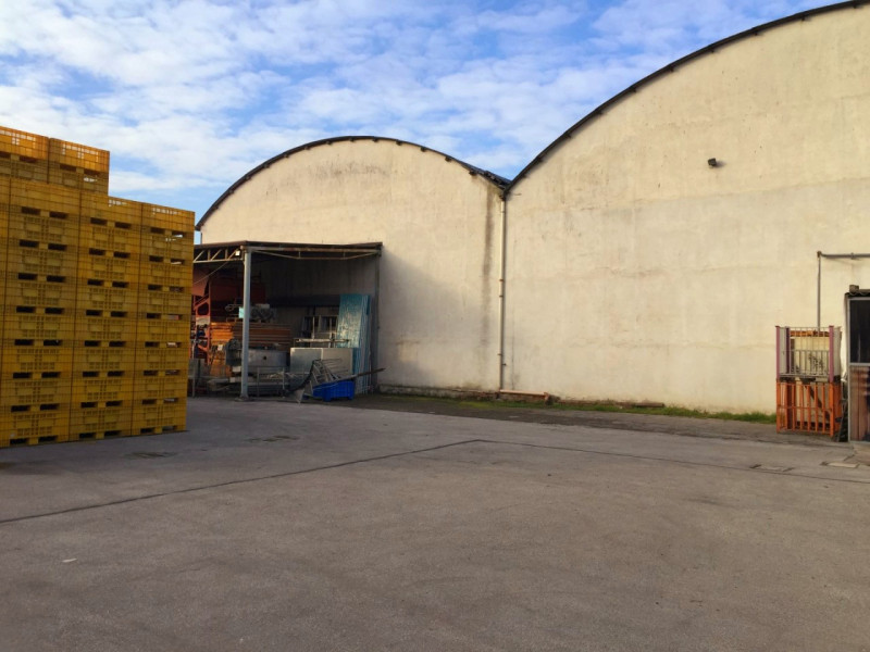Immagine 5 di Capannone industriale in vendita  in VIA MODENA a Ferrara