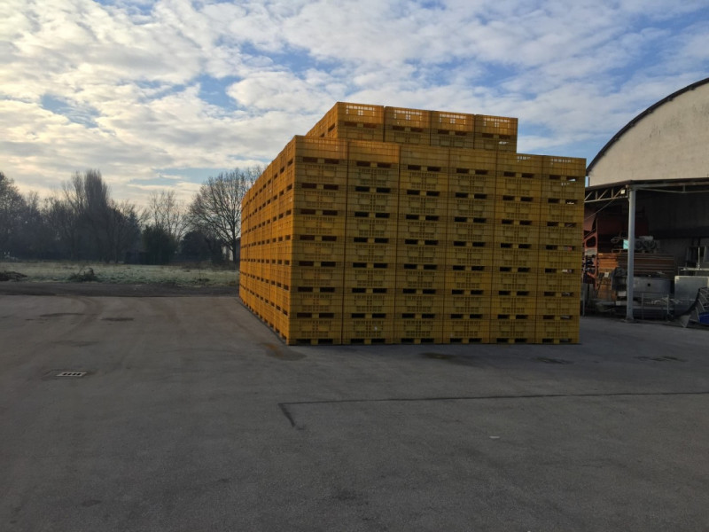 Immagine 10 di Capannone industriale in vendita  in VIA MODENA a Ferrara