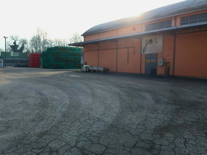 Immagine 11 di Capannone industriale in vendita  in VIA MODENA a Ferrara
