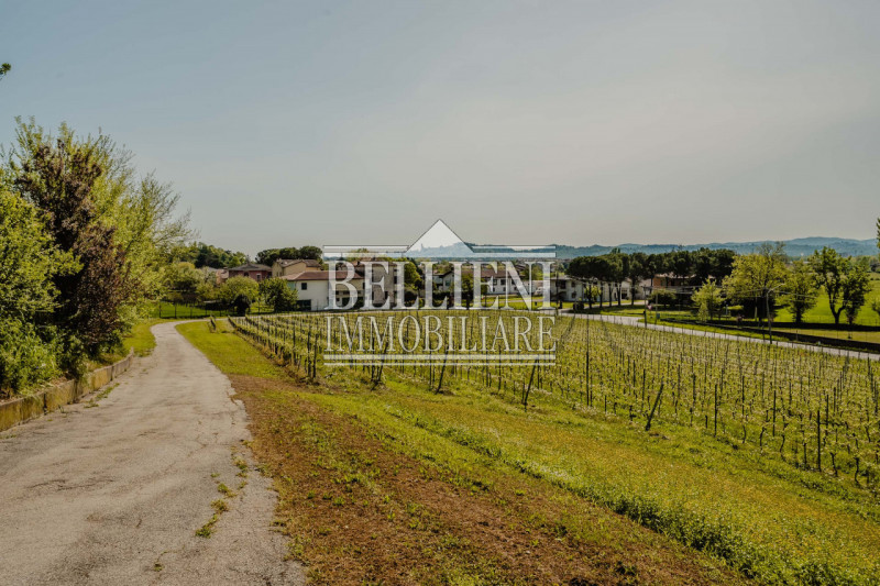 Immagine 23 di Villa in vendita  in Strada del Monte Crocetta a Vicenza