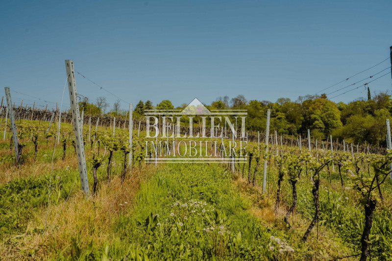 Immagine 24 di Villa in vendita  in Strada del Monte Crocetta a Vicenza