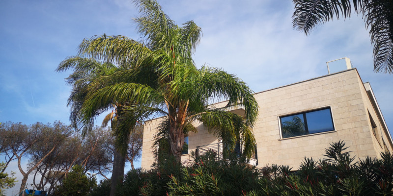 Immagine 6 di Ufficio in affitto  in Via Castello della Magliana 18 a Roma