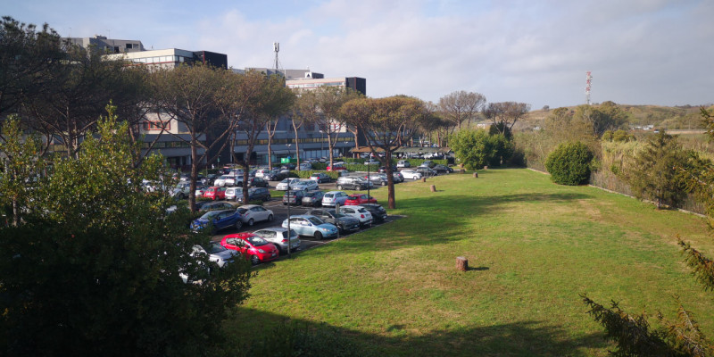 Immagine 14 di Ufficio in affitto  in Via Castello della Magliana 18 a Roma