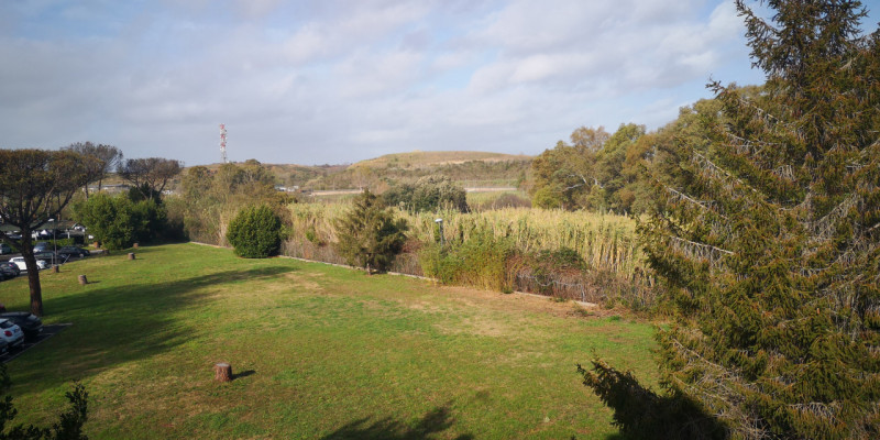 Immagine 16 di Ufficio in affitto  in Via Castello della Magliana 18 a Roma