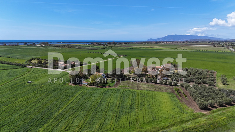 Immagine 2 di Rustico / casale in vendita  in Selva nera a Capalbio