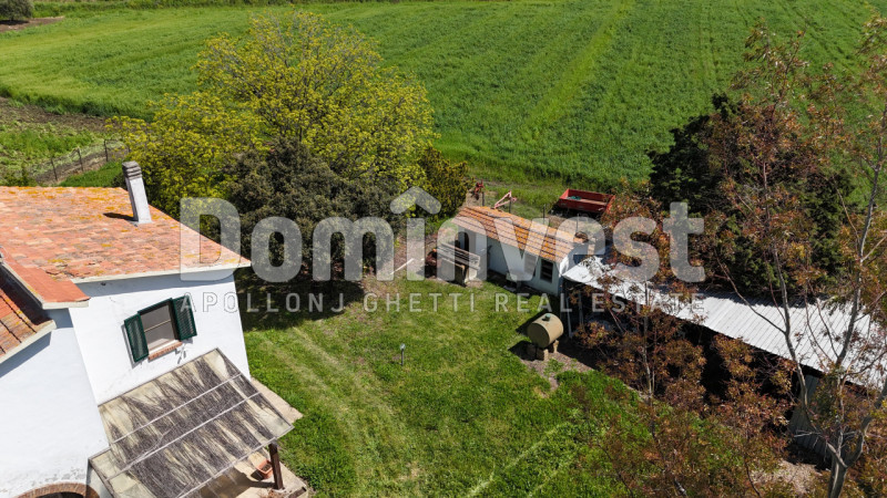 Immagine 3 di Rustico / casale in vendita  in Selva nera a Capalbio