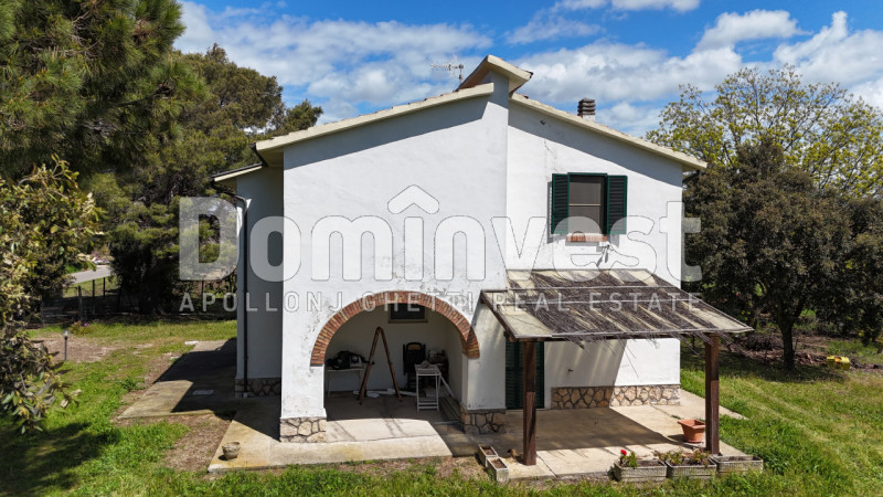 Immagine 6 di Rustico / casale in vendita  in Selva nera a Capalbio