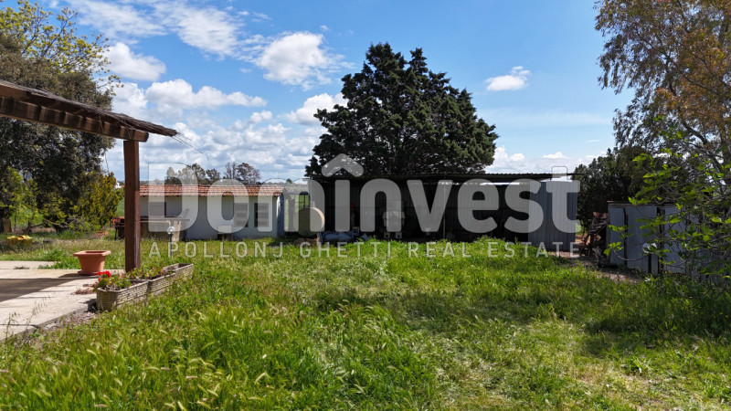 Immagine 7 di Rustico / casale in vendita  in Selva nera a Capalbio