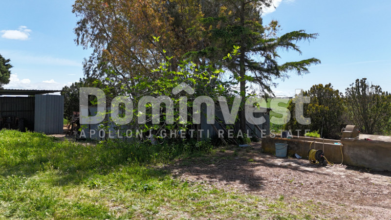 Immagine 8 di Rustico / casale in vendita  in Selva nera a Capalbio