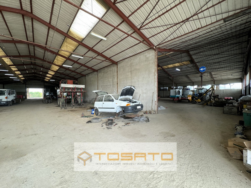 Immagine 4 di Capannone industriale in vendita  a Salizzole