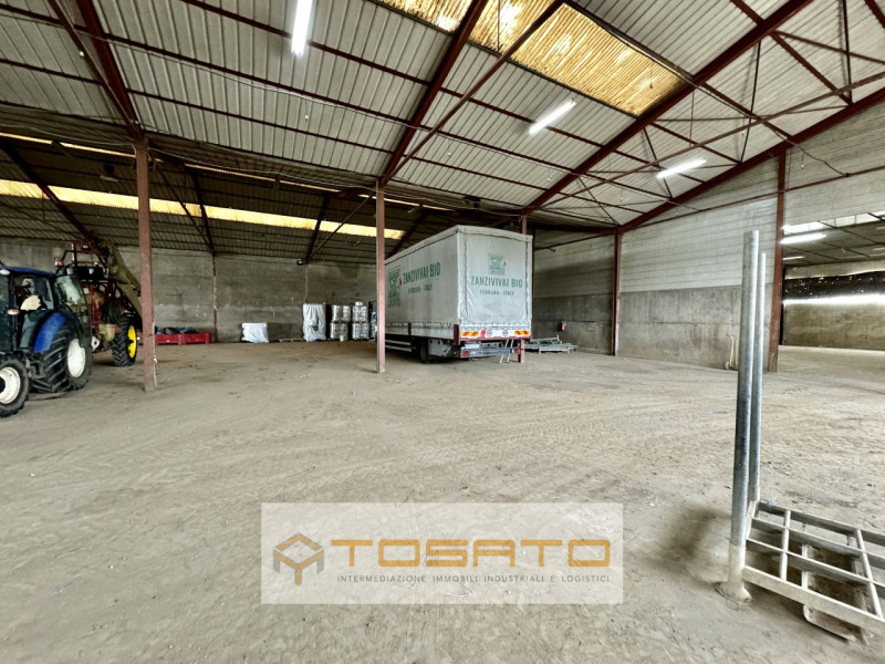 Immagine 5 di Capannone industriale in vendita  a Salizzole