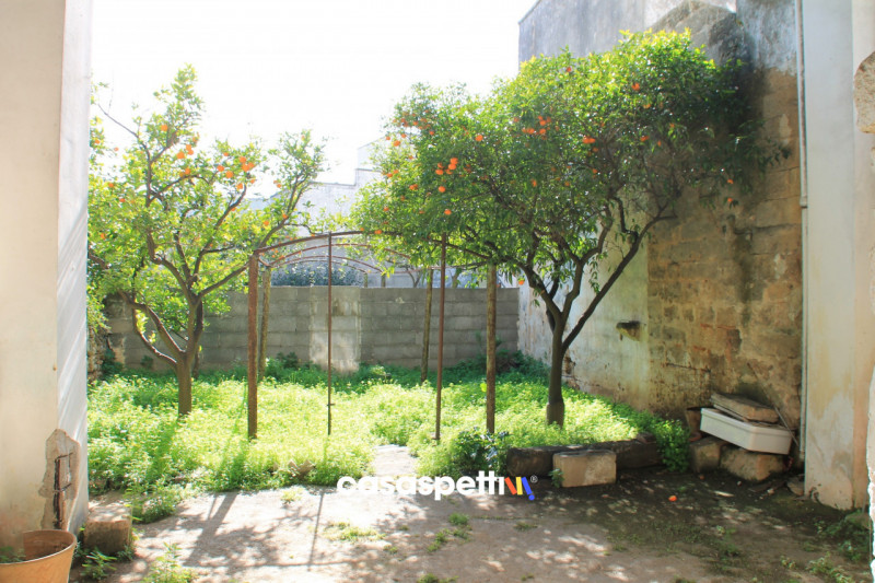 Immagine 4 di Casa indipendente in vendita  in Via XX Settembre, San Pietro Vernotico (BR) a San Pietro Vernotico