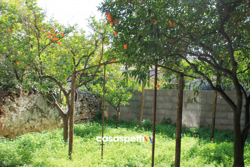 Immagine 5 di Casa indipendente in vendita  in Via XX Settembre, San Pietro Vernotico (BR) a San Pietro Vernotico