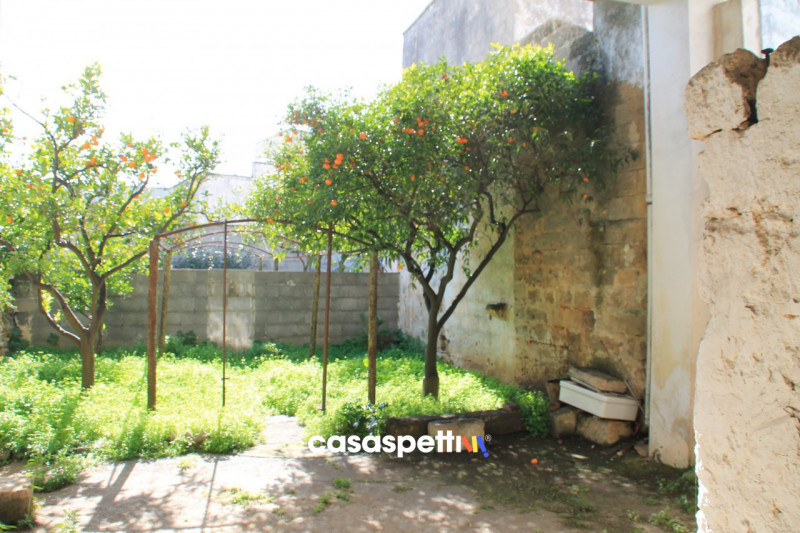 Immagine 26 di Casa indipendente in vendita  in Via XX Settembre, San Pietro Vernotico (BR) a San Pietro Vernotico