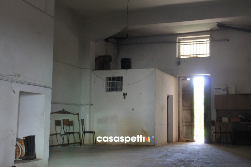 Immagine 32 di Casa indipendente in vendita  in Via XX Settembre, San Pietro Vernotico (BR) a San Pietro Vernotico