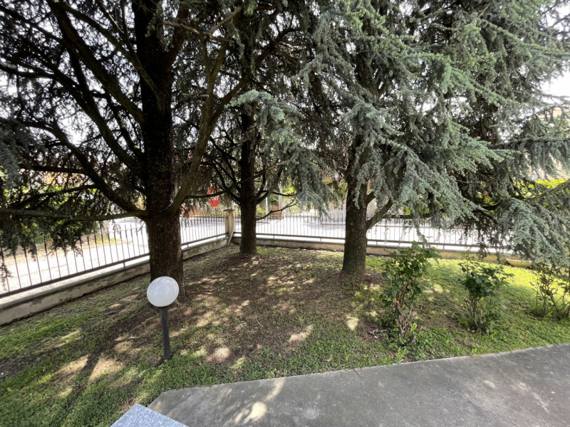 Immagine 45 di Casa indipendente in vendita  a Suzzara