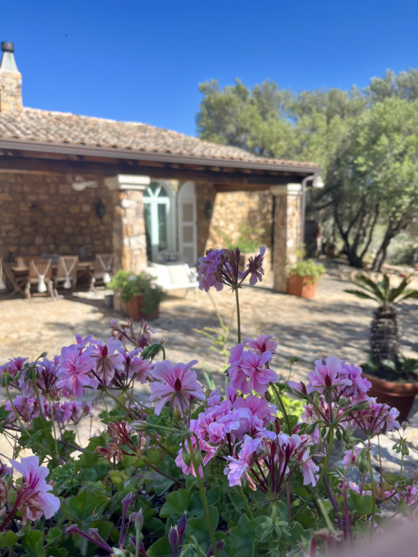 Immagine 2 di Villa in vendita  in via zara a Olbia