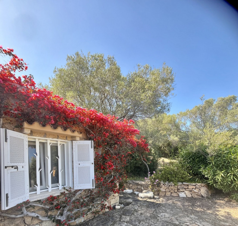 Immagine 35 di Villa in vendita  in via zara a Olbia