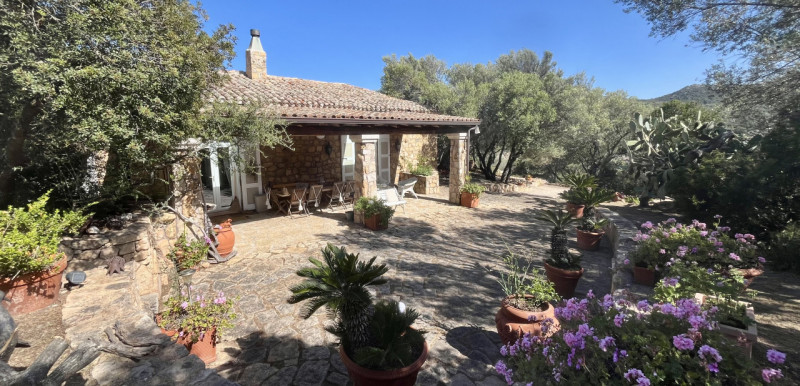 Immagine 40 di Villa in vendita  in via zara a Olbia