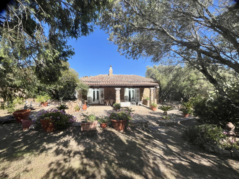 Immagine 45 di Villa in vendita  in via zara a Olbia