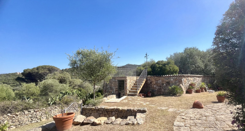 Immagine 51 di Villa in vendita  in via zara a Olbia