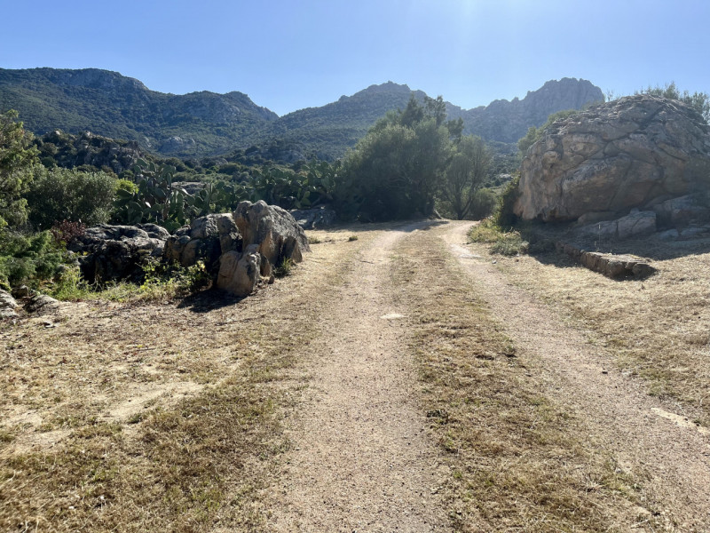 Immagine 71 di Villa in vendita  in via zara a Olbia