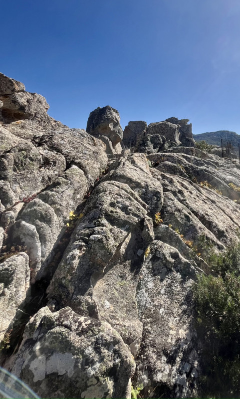 Immagine 72 di Villa in vendita  in via zara a Olbia