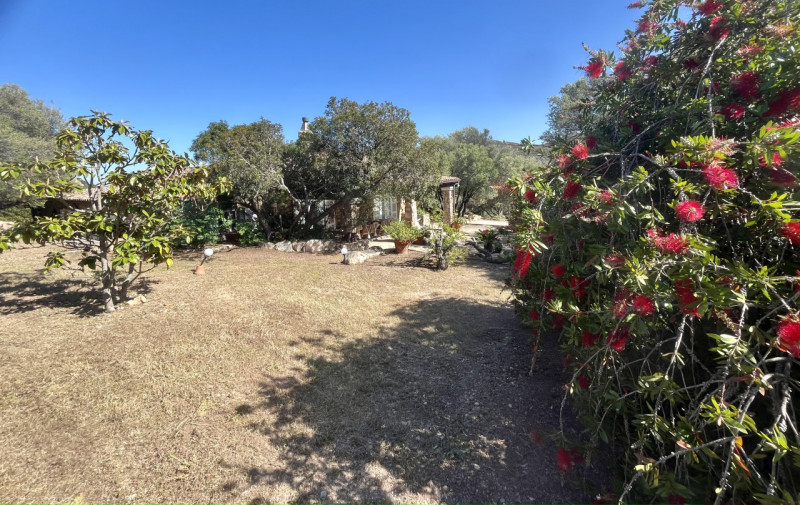 Immagine 73 di Villa in vendita  in via zara a Olbia