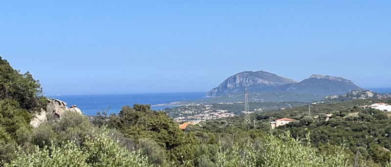 Immagine 76 di Villa in vendita  in via zara a Olbia