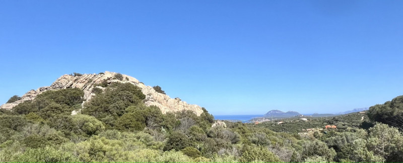 Immagine 77 di Villa in vendita  in via zara a Olbia