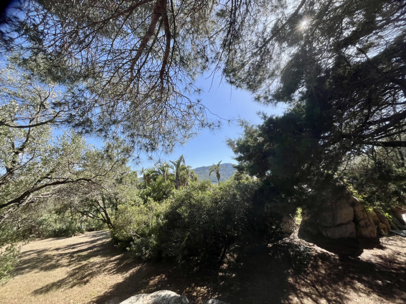 Immagine 78 di Villa in vendita  in via zara a Olbia