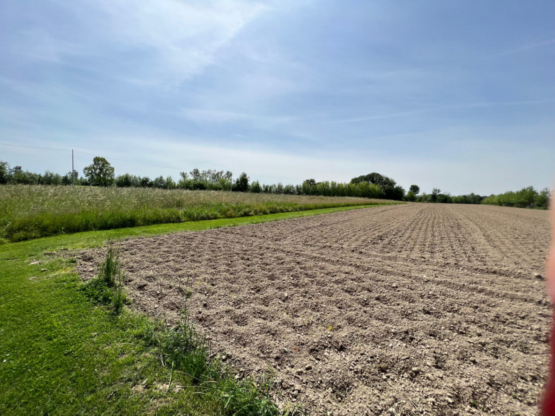 Immagine 9 di Terreno in vendita  in Via Giuseppe Parini a Vigonovo