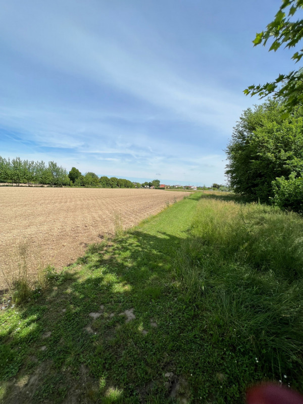 Immagine 10 di Terreno in vendita  in Via Giuseppe Parini a Vigonovo